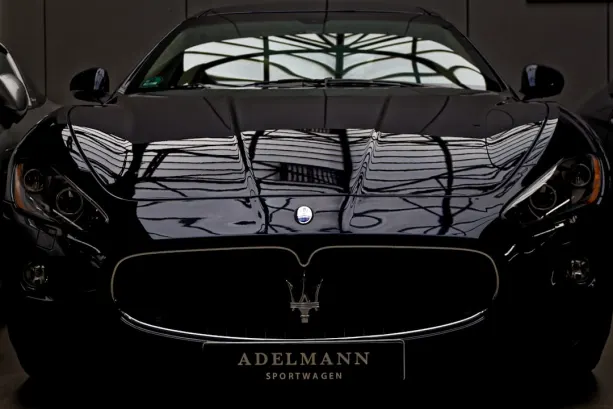 BingoFling Casino App Android/iOS